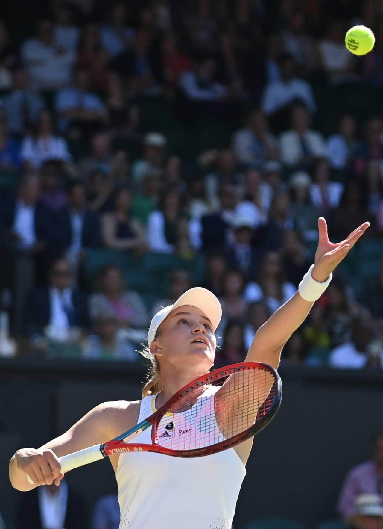 温网翻盘年终总决赛，鲁德高光表现