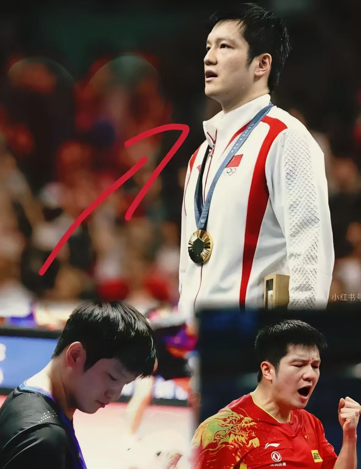 日本队逆转法国队，樊振东关键制胜