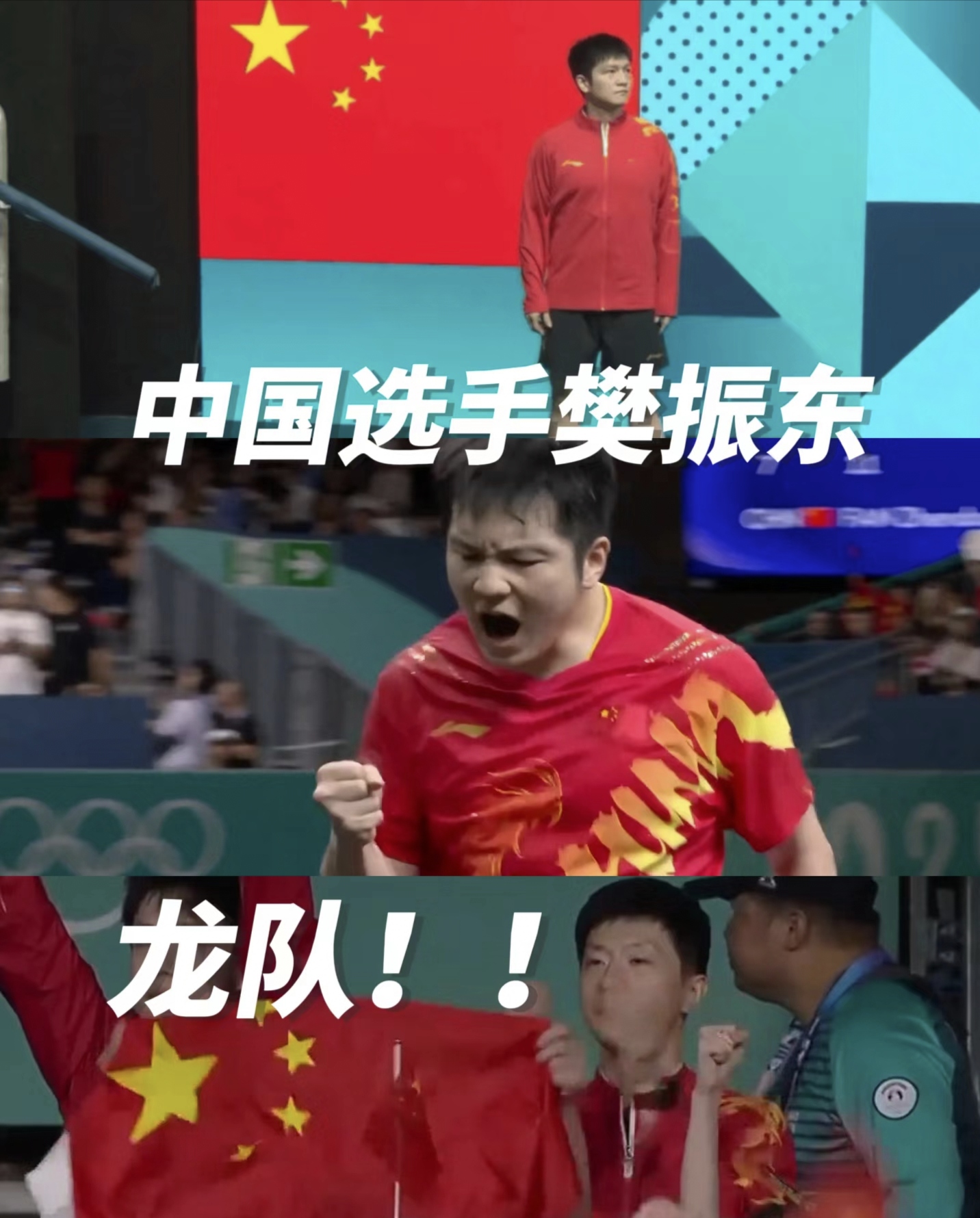 葡萄牙队横扫瑞典队，樊振东惊艳四座