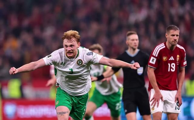 匈牙利队主场击败对手,豪取胜利 匈牙利队主场击败对手,豪取胜利